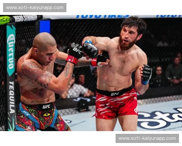 宿命之战:当“西伯利亚神鹰”撞上“爱尔兰狂人”,那场改变UFC格局的巅峰对决 宿命之战:当“西伯利亚神鹰”撞上“爱尔兰狂人”,那场改变UFC格局的巅峰对决